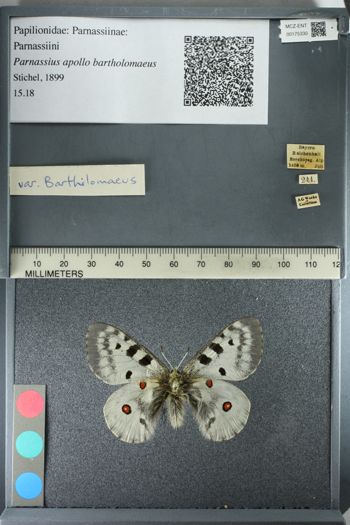 Media type: image;   Entomology 175330